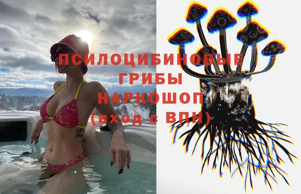 шишки Балахна