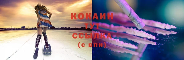 шишки Балахна