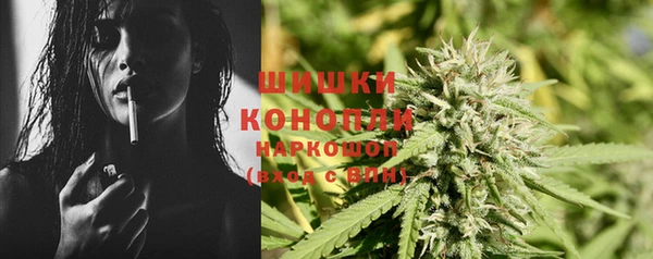 шишки Балахна