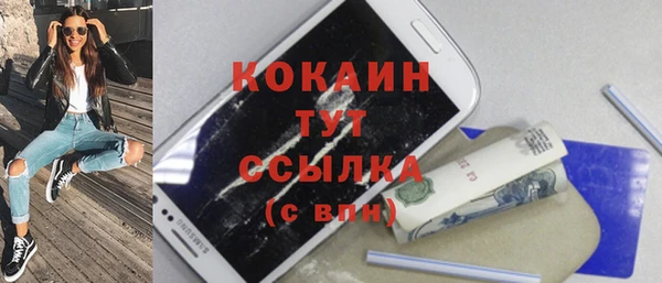 шишки Балахна